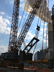 Crane at Connemaugh