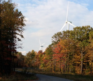 Chestnut Flats Windmills