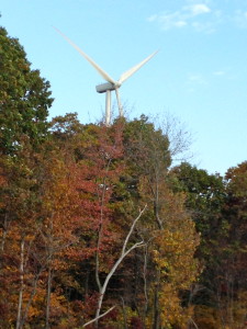 Chestnut Flats Wind Farm